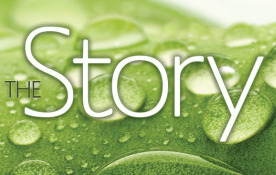 The Story